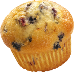 Blueberry Muffin